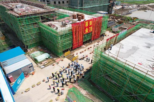 中鐵上海局承建安徽供銷樅陽農產品項目C16地塊主樓順利封頂，物資供銷協同助推鄉村振興